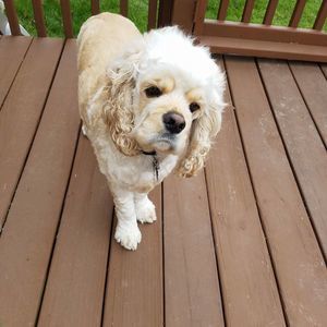 Meet your Posher, Richard